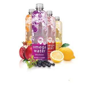  Omega Water Rainbow 12 Pack  Omega 3 Enriched Flavored Water 