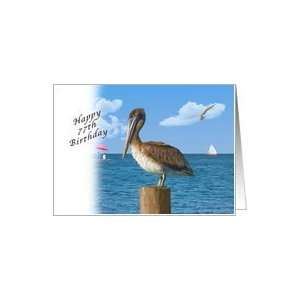  Birthday, 77th, Pelican and Seascape Card Toys & Games
