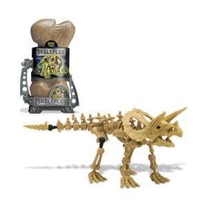  Dino D   Triceratops Toys & Games