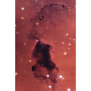   Poster Print   Bok Globules in Star Forming Region NGC 281   24 x 19.5