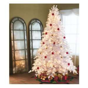 White Spruce 66 Tree, 1264 Tips, 550 Lights  Kitchen 
