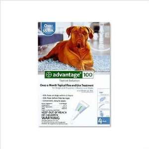  Flea Medication (Blue) For Dogs Over 55 lbs   6 Month 