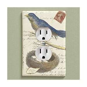  Bluebird Outlet Cover