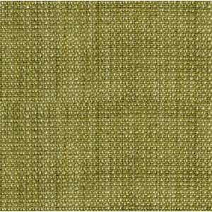  31151 3 by Kravet Smart Fabric