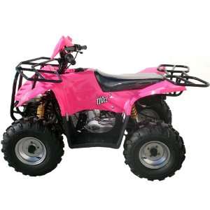  110cc Full Size ATV with Automatic Transmission Remote 