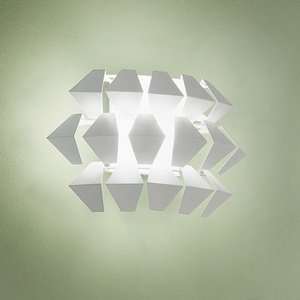  Zaneen D8 3146 Agave   Two Light Wall Sconce, White Finish 