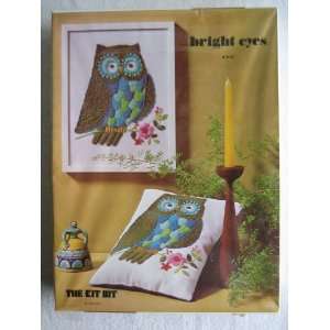 Bright Eyes 9 x 12 Embroidery Kit   Owl