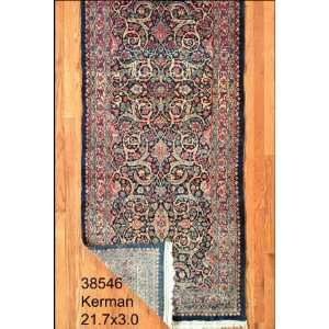  3x21 Hand Knotted Kerman Persian Rug   30x217