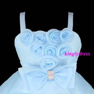 NEW Flower Girl Pageant Wedding Bridesmaid Princess Dress Blue Outfit 