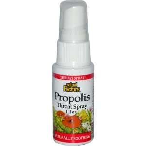  Propolis Throat Spray, 1 fl oz
