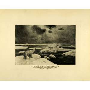   Government Amundsen Ice   Original Photogravure