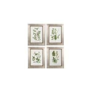  Uttermost Silver Leaf Botanical Collection Trio Art   Set 