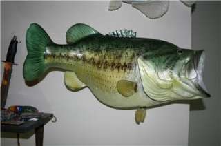 NEW World Record 22 lb + Largemouth BASS Fish Mount  