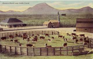 WESTERN RANCH AND CATTLE CORRAL SCENE  