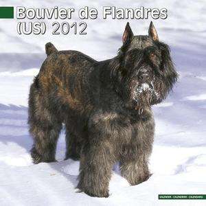 BOUVIER DES FLANDRES (US) 2012 CALENDAR #10120 12  