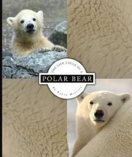   The Life Cycle of a Polar Bear by Robin Merritt 