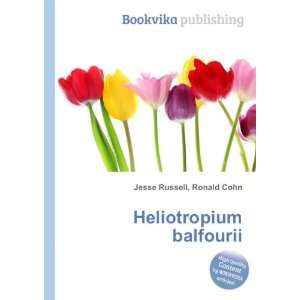  Heliotropium balfourii Ronald Cohn Jesse Russell Books