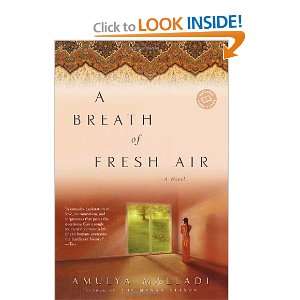   Air (Ballantine Readers Circle) [Paperback] Amulya Malladi Books