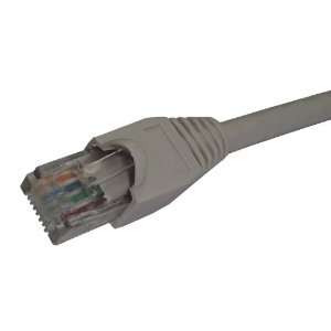  Patch Cord Cat 6A 50um Gold Gray 10 ft  Players 