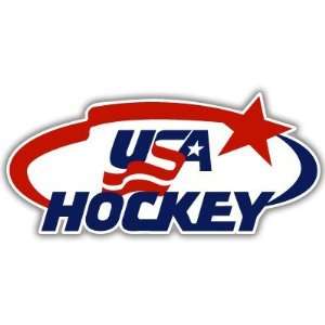  USA National Hockey Team car bumper sticker 6 x 3 
