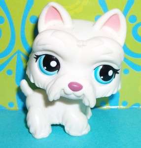 Littlest Pet Shop~#1598 SNOWY WHITE SCOTTIE PUPPY DOG Blue Eyes~M118 