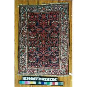   Hand Knotted Malayer Persian Rug   48x65 