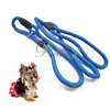 Pet Dog training use p rope Dog P Collar 1cm  