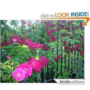 Start reading Rose Gardening  Don 