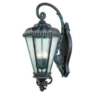 Savoy House 5 9902 52 Painted Finishes Tuscan Outdoor Sconce Savoie 