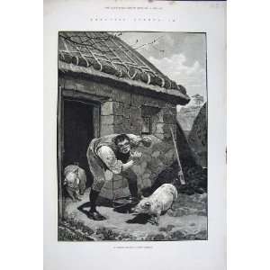  Woodville 1880 Man Shaving County Galway Pigs Ireland 
