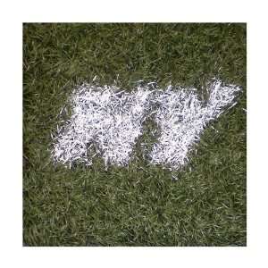  New York Jets Game Used Turf