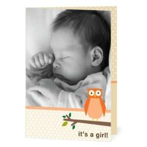 Girl Birth Announcements   Adorable Owl Persimmon By Dwell