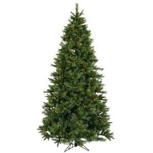  7.5 x 50 Butte Mixed Christmas Tree   550 Warm White LED 