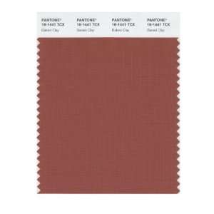  PANTONE SMART 18 1441X Color Swatch Card, Baked Clay