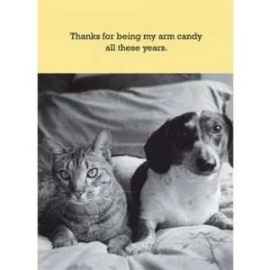  Arm Candy Cat and Doxie Anniversary Card 