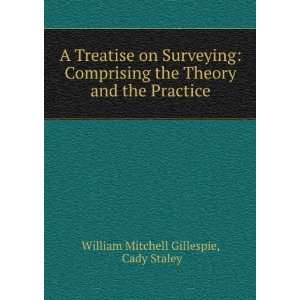   Theory and the Practice Cady Staley William Mitchell Gillespie Books