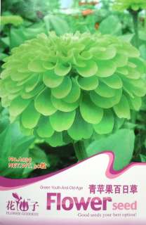 A039 Flower Rare Green Zinniaa Elegans Seed Pack B  