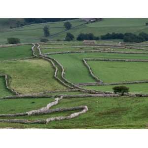  Fields and Dry Stone Walls, Yorkshire, England, United 