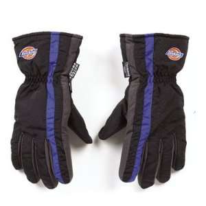  Dickies Winter Glove (d06bblu xl)