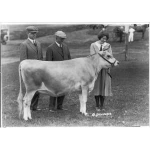  County/state fair,New England,1922,US,Prize Heifer,Cow