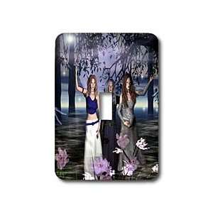   Maiden, Mother and Crone   Light Switch Covers   single toggle switch