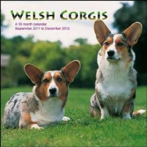  Welsh Corgis 2012 Wall Calendar 12 X 12