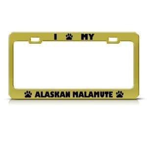  Alaskan Malamute Dog Gold Metal license plate frame Tag 