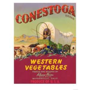  Conestoga Vegetable Label   Watsonville, CA Premium Poster 