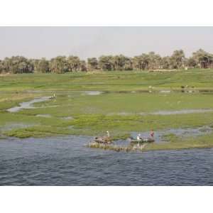  Life Along the River Nile, Near Aswan, Egypt, North Africa 