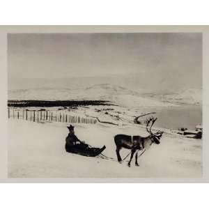  1930 Finnish Forester Reindeer Sled Finland Landscape 