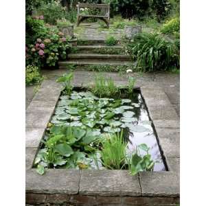  Small Formal Pond with Aquatic Planting Giclee Poster 