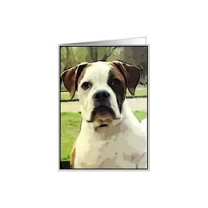 American Bulldog Card