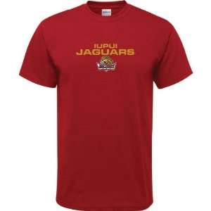  IUPUI Jaguars Cardinal Youth Legend T Shirt Sports 