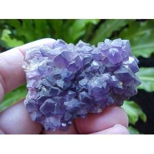    A1313 Gemqz Purple Amethyst Flower Uruguay 